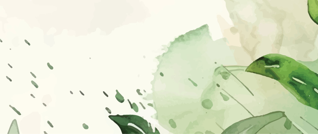 Chat & Plant