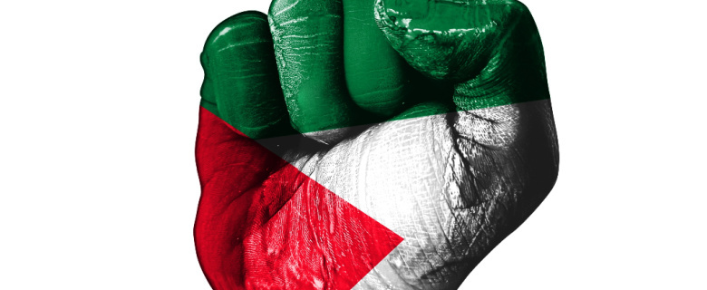 Palestine's Story