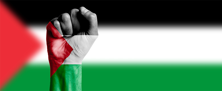التنشئة من أجل فلسطين: نصائح من معلمين لأولياء الأمور التنشئة من أجل فلسطين: نصائح من معلمين لأولياء الأمور