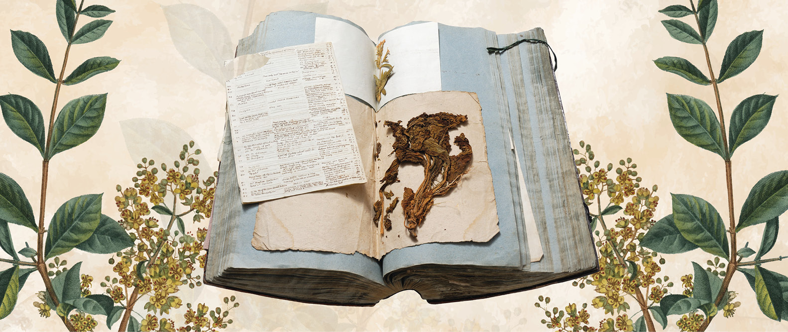 Scientific Exploration in the Arab World: Pococke’s Description of the East & Other Travelogues