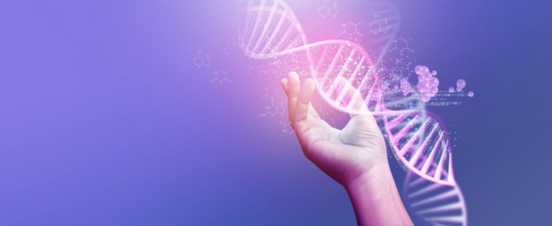 Summer Camp: Genome Heroes