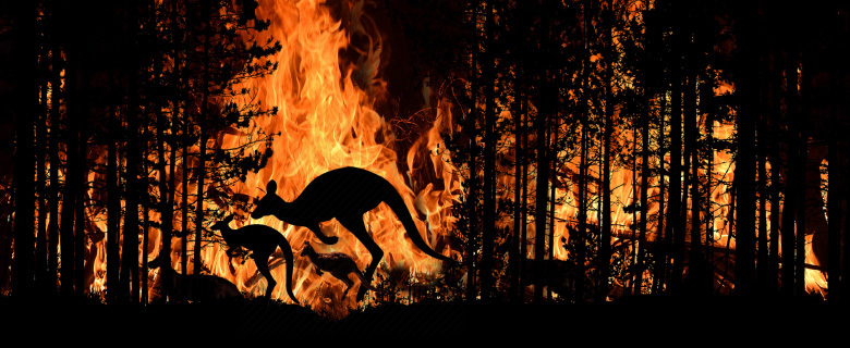 Science Book Forum: Natural Disasters Science Book Forum: Natural Disasters