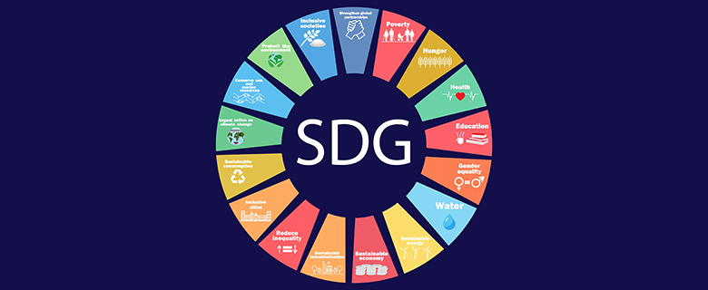 Sustainable Development Goals 101