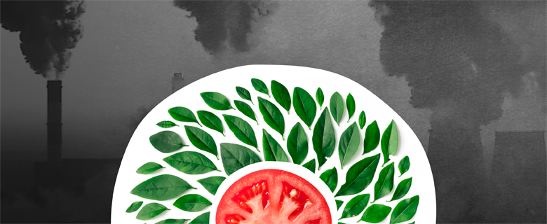 Ecological Crisis and Future of Food Security Ecological Crisis and Future of Food Security