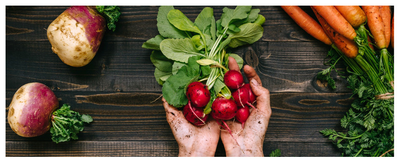 Week of the Tree: Organic Gardening for the Green Thumb Week of the Tree: Organic Gardening for the Green Thumb