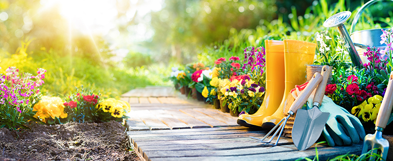 A Beginner's Guide to Home Gardening