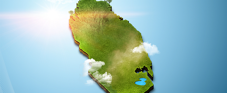 Explore the Ecology of Qatar's Marine and Terrestrial Environments