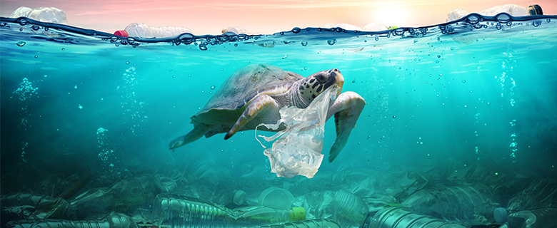 Start Your Sustainability Journey in Qatar