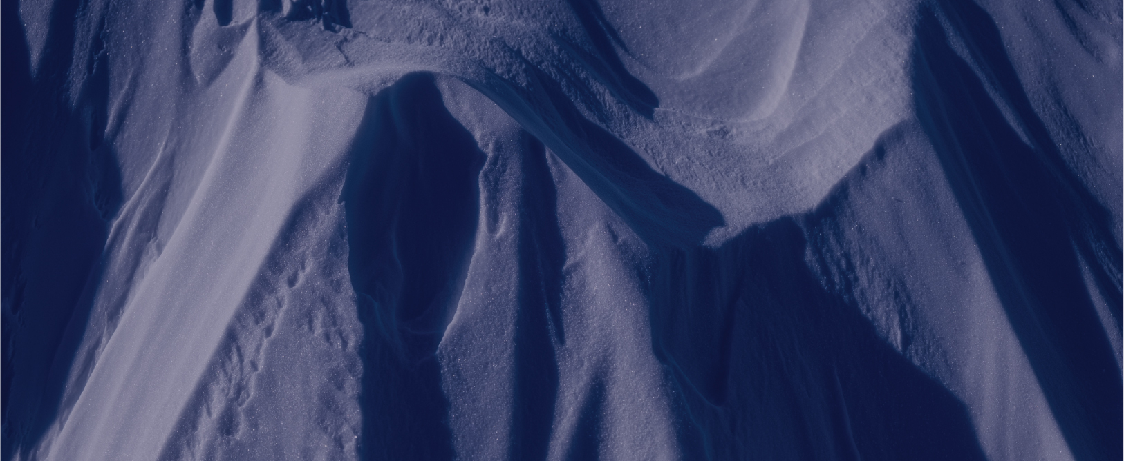 معرض أنتاركتيكا