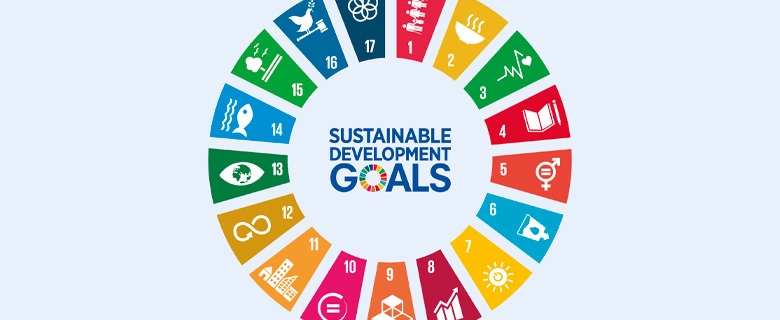 ثايمون قطر: ورشة حول المشاريع الداعمة لأهداف التنمية المستدامة