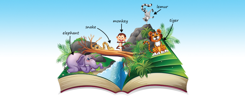 All About Animals All About Animals