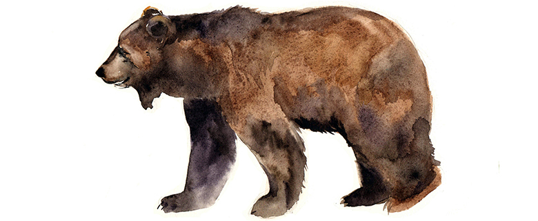 Brown Bear, Brown Bear, What do you See? Brown Bear, Brown Bear, What do you See?