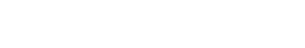 QNL Logo